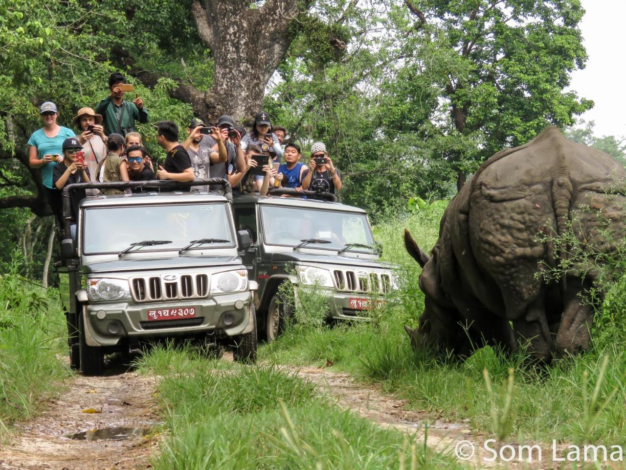 Eden Jungle Resort Sauraha Exterior photo