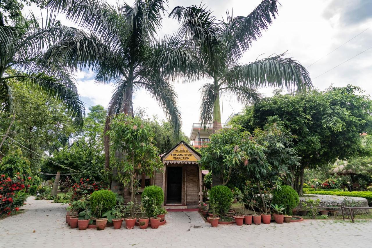 Eden Jungle Resort Sauraha Exterior photo