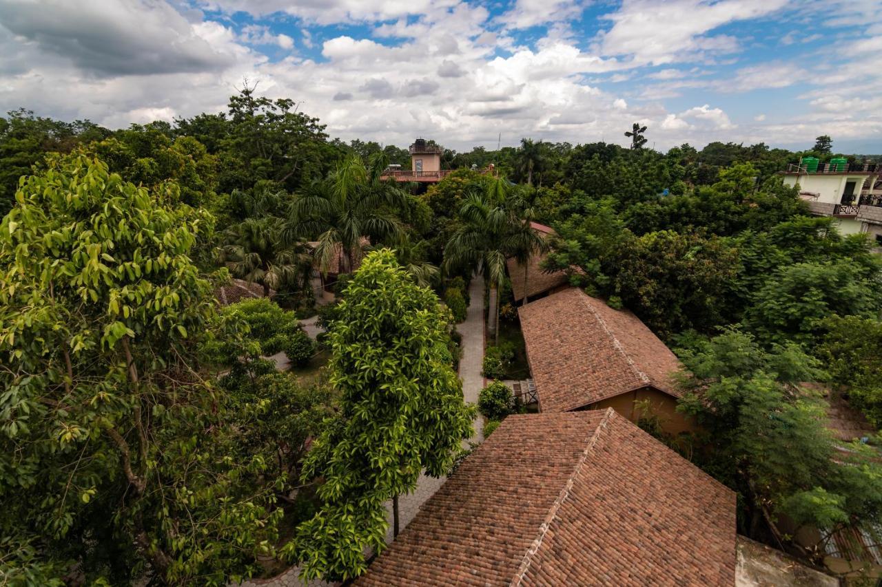 Eden Jungle Resort Sauraha Exterior photo