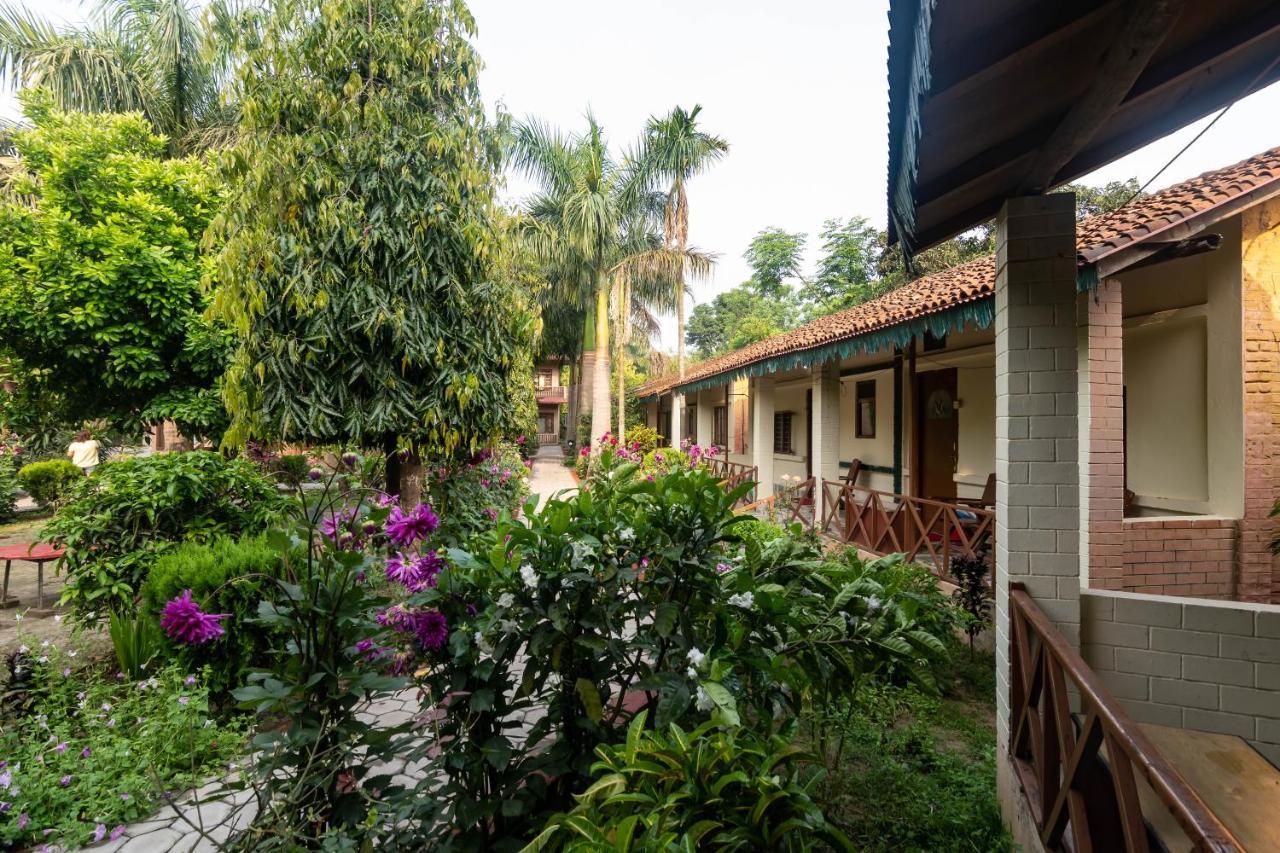 Eden Jungle Resort Sauraha Exterior photo