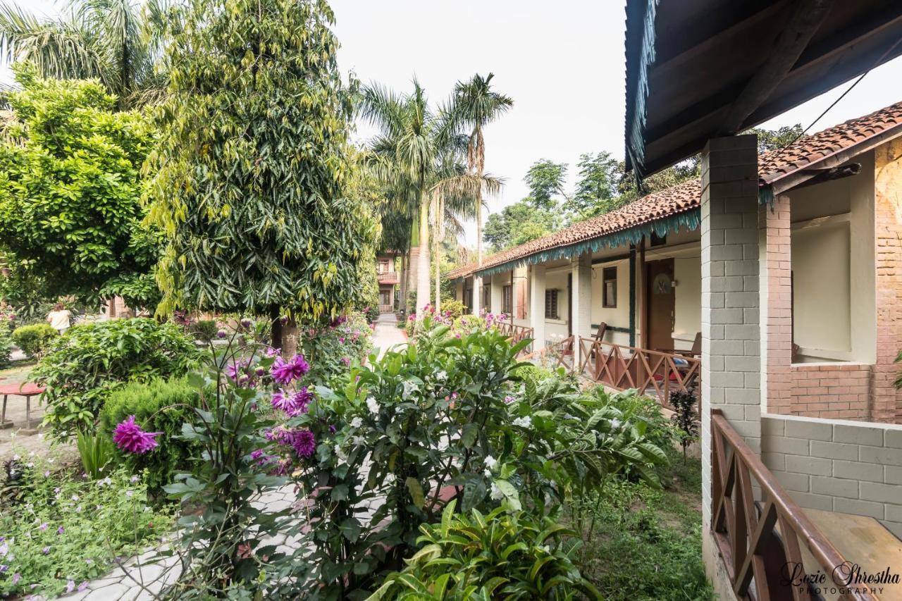 Eden Jungle Resort Sauraha Exterior photo